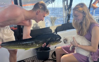 Day 10: Racing Mode and a Giant Fish