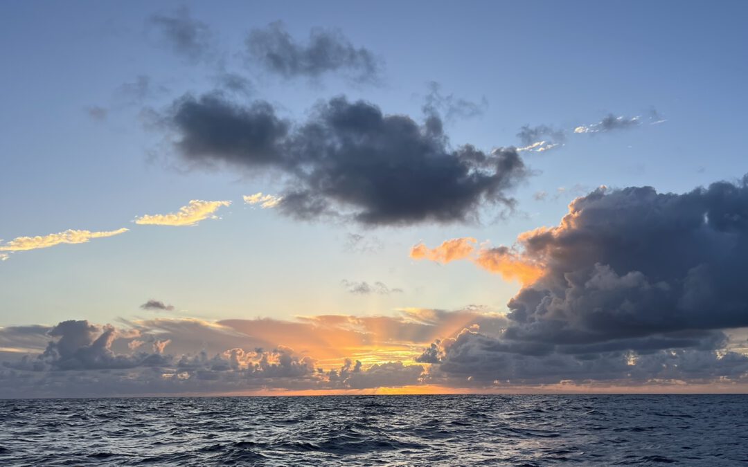 Day 9: About Squalls and Fishing Success