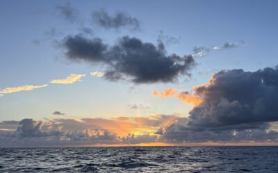Day 9: About Squalls and Fishing Success