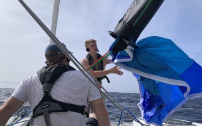 Day 1: Heading to St. Lucia: Our First Day at Sea